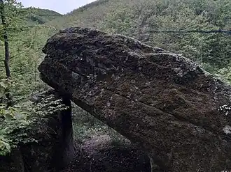 Graštica