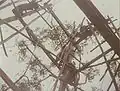 Il faudra huit jours de travaux aux soldats et aux amérindiens pour terminer la construction (12&nbsp;m de haut)
