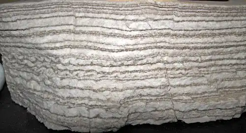 Empilement de couches de gypse (gris clair) et de calcite (brun foncé). Formation Castile&nbsp;(en), Nouveau-Mexique (États-Unis).