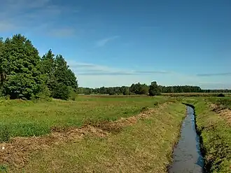 Słupica