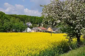 Hüttingen bei Lahr