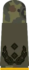 Oberstleutnant(troupes de reconnaissance)