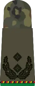 Oberstleutnant d.R.(infanterie mécanisée de réserve)