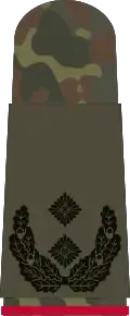 Oberstleutnant i.G.(état-major)