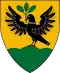 Blason de Patca