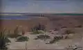 Skagen Grenen, Danmark, 1898.