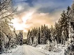 Hagfors