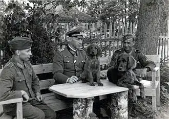 Walther Hahm