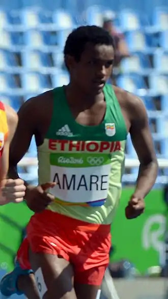 Image illustrative de l’article Hailemariyam Amare