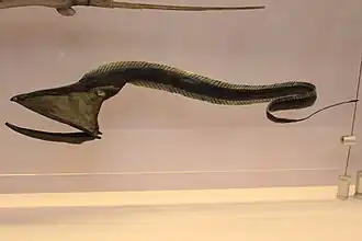 Maquette