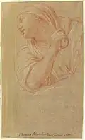 Profil de femme