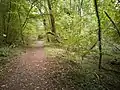 Un chemin en octobre.