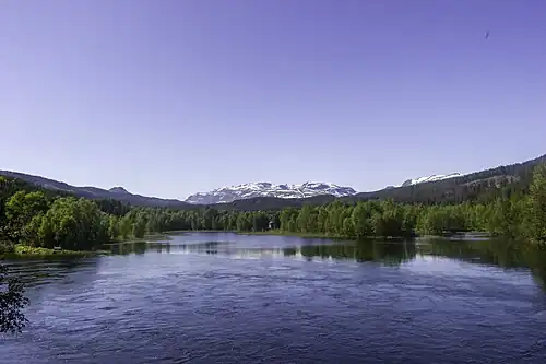 Hallingdalselva.