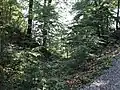 Les anciennes douves, au nord de la colline du château