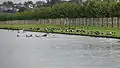 Long Water