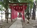 Toriis devant Hanazono-jinja.