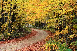 Image illustrative de l’article Forêt nationale de Green Mountain