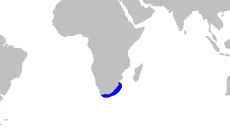 Description de l'image Haploblepharus_edwardsii_distmap.png.