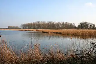 Les Marais d'Harchies.
