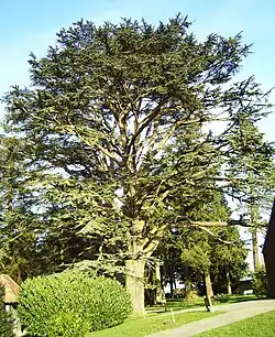 L'arboretum.