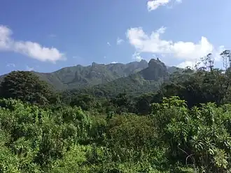 Image illustrative de l’article Forêt d'Harenna