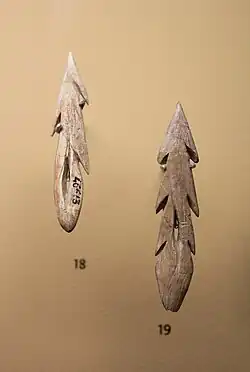 Harpons- MAN.