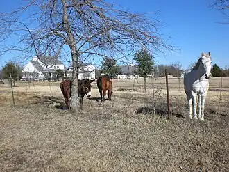 Fairview (Texas)