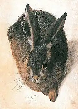 Hans Hoffmann, Lièvre, 1582, aquarelle et gouache sur parchemin, 32,5&nbsp;×&nbsp;25,6&nbsp;cm, Berlin, Gemäldegalerie, librement adapté de Dürer, mais portant le monogramme AD.