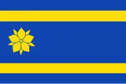 Drapeau de Hattem