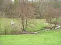 Le vallon du Leffard