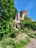 Ruine du château de Haut-Ribeaupierre en 2023.