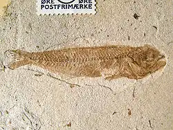 Poisson.