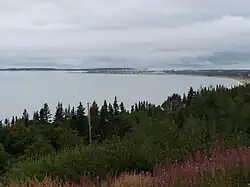 Vue d'ensemble.