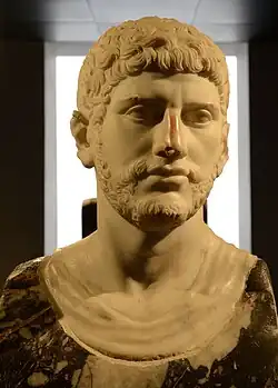 Tête d'un homme barbu