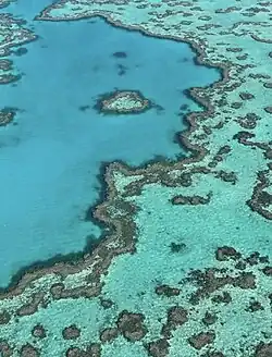Lagon de la Grande barrière