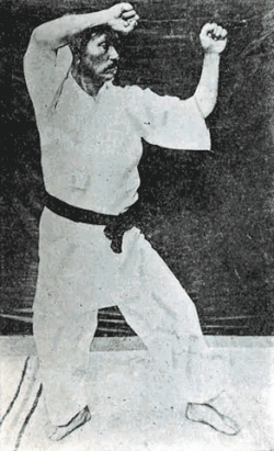 Premiers mouvements du kata Heian Nidan.