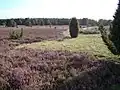 Lande du Hauszelberg