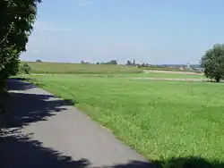 Photographie d'une route de campagne étroite. Le tiers supérieur est occupé par un ciel gris et délimite deux rectangles. La du rectangle inférieur, depuis l'angle supérieur gauche jusqu'au 4/5 du bord inférieur délimite un champ vert à droite et la route à gauche. Un arbuste se devine à gauche de la route.