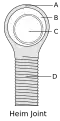 Schéma d'une tête rotulée