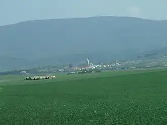 Hejce