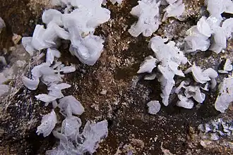 Hémimorphite - Escouloubre, Aude, France (Vue 3 cm)