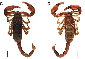 Description de cette image, également commentée ci-après