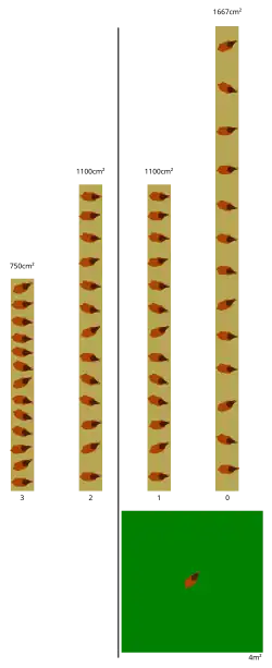 Diagram montrant le nombre de m² pour 13 poules pour les différents niveaux: de 3 (gauche) à 0 (droite).