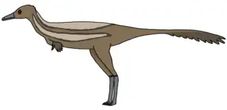 Description de l'image Heptasteornis.png.