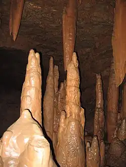 Concrétions diverses (Hérault).