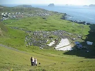 Festival de Þjóðhátíð durant la Fête des commerçants.