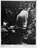 La cascade d'Amselfall&nbsp;(de) en Suisse saxonne, 1857.