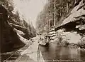 Les gorges d'Edmundova sur la rivière Kamenice en Tchéquie.