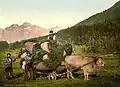 Vers 1900 dans la vallée suisse d'Engadine.