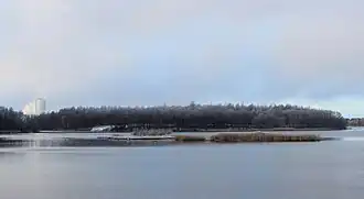 Hevossaari